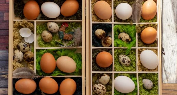 Перепелиные яйца: маленький продукт с большой пользой для рациона Перепелиные яйца: маленький продукт с большой пользой для рациона