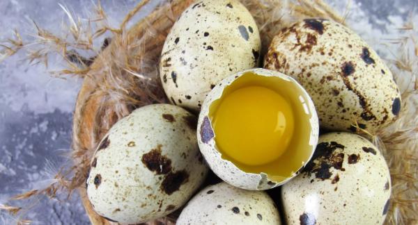 Перепелиные яйца: маленький продукт с большой пользой для рациона Перепелиные яйца: маленький продукт с большой пользой для рациона