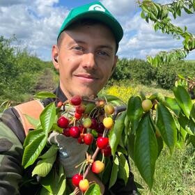 Как обновить дачный участок за выходные: пошаговый план от эксперта.